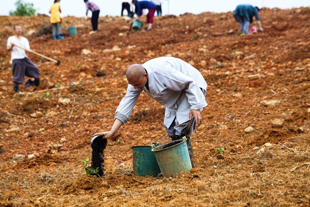 1460432288272144.jpg IMG_1814.jpg