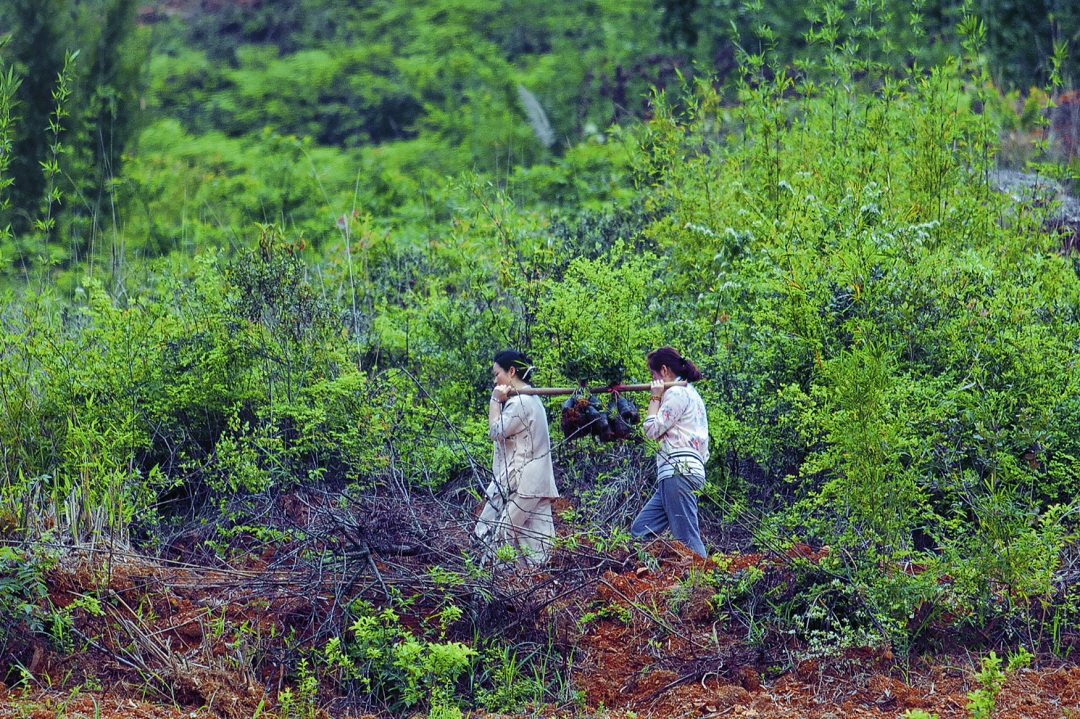 1460432438150333.jpg IMG_1636_meitu_1.jpg