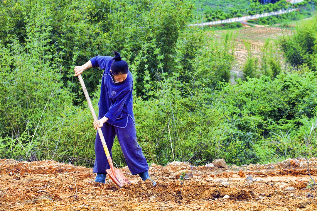 1460432345591879.jpg IMG_1876.jpg