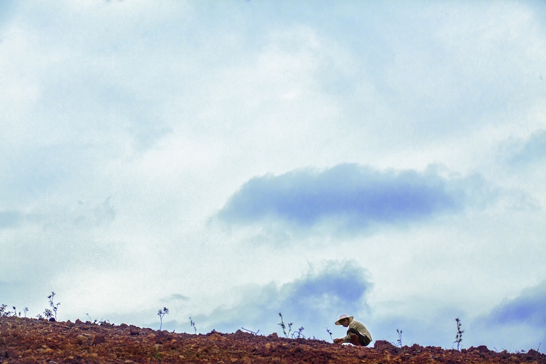 1460512496624131.jpg IMG_1973.jpg