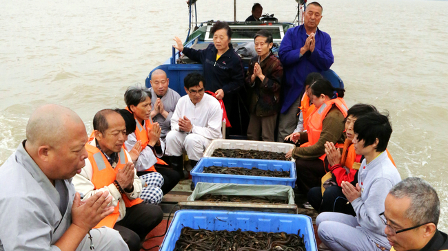 【东林大佛】文殊菩萨圣诞日 祝圣放生利有情