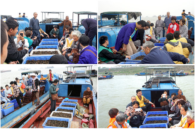 【东林大佛】文殊菩萨圣诞日 祝圣放生利有情
