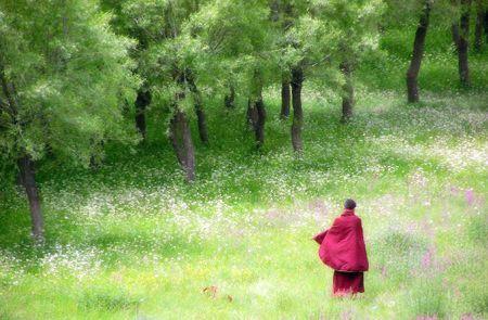 【法眼看世间】出家真的是逃避生活 苟且偷安吗?