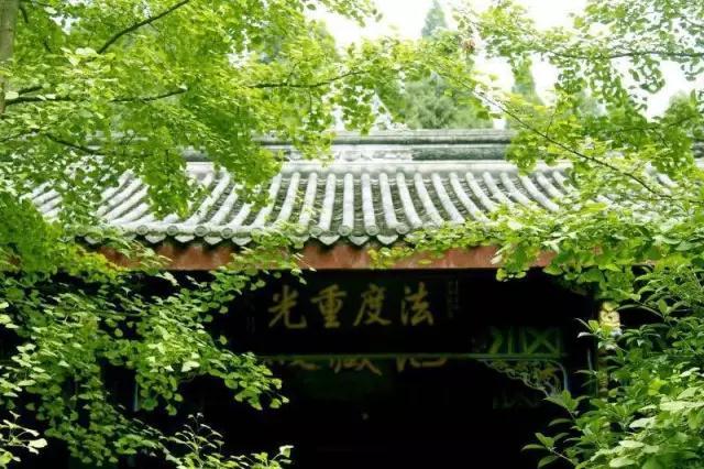 乐至报国寺四念处禅修技巧课程报名通启 ——特邀继如法师亲授