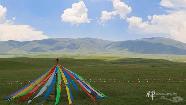 遥远青海湖畔(资料图)