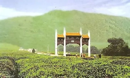 澄光·寻禅之旅大学生公益夏令营招募啦！