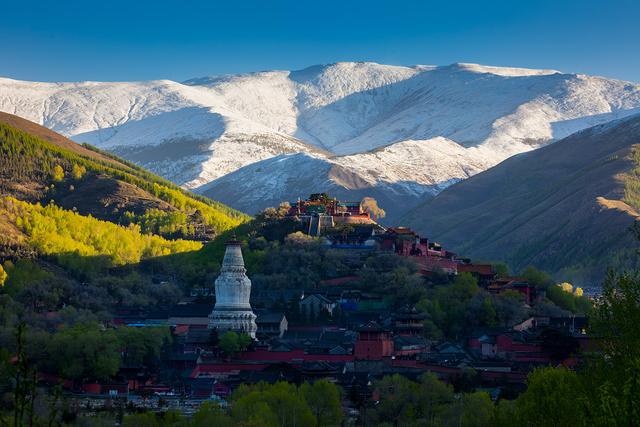 “一万菩萨绕清凉·戒心队”五台山朝礼招募