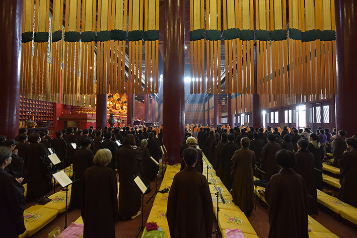 1504084644117459.jpg DSC_4204 拷贝.jpg