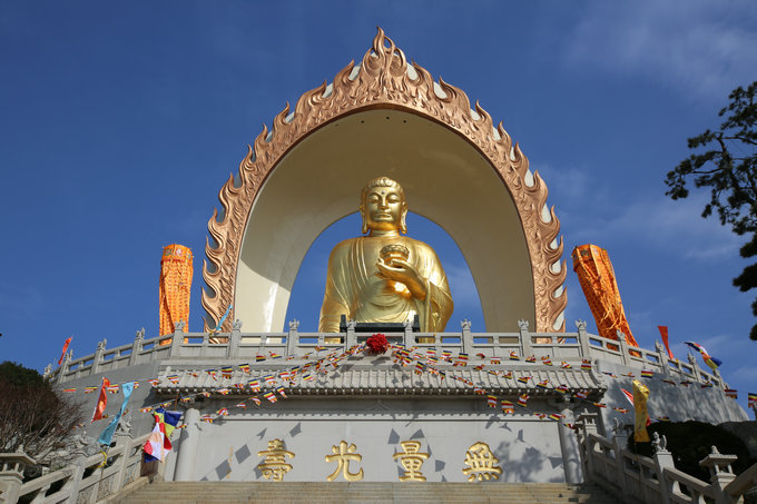 走进东林寺净土苑(冬日篇)