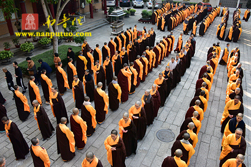 厦门佛教在线 厦门佛教在线