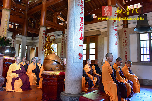 厦门佛教在线 厦门佛教在线