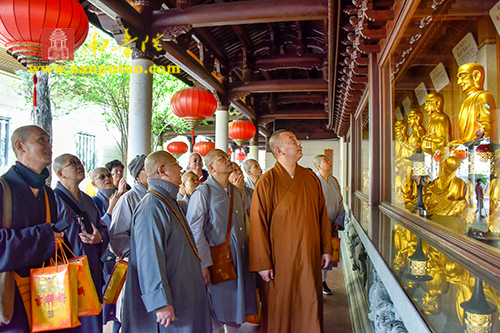 厦门佛教在线 厦门佛教在线