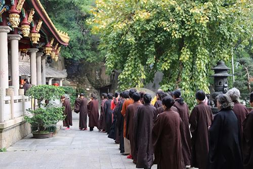 厦门佛教在线 厦门佛教在线