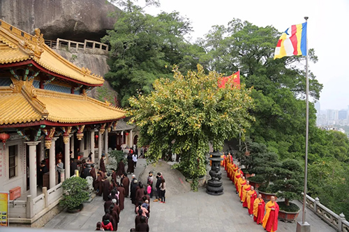 厦门佛教在线 厦门佛教在线