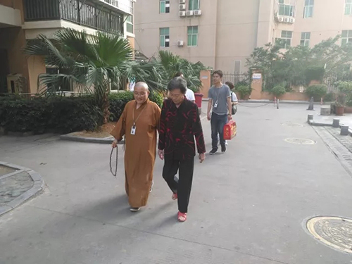 厦门佛教在线 厦门佛教在线