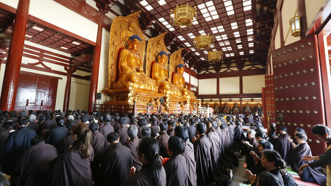 净土苑“五一”佛七之三皈五戒