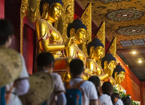 厦门佛教在线 厦门佛教在线