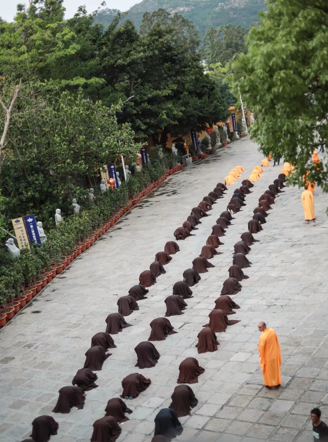 厦门佛教在线 厦门佛教在线