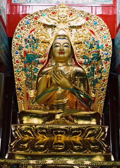 明日燃灯节！积福慧供灯共修正在进行中……