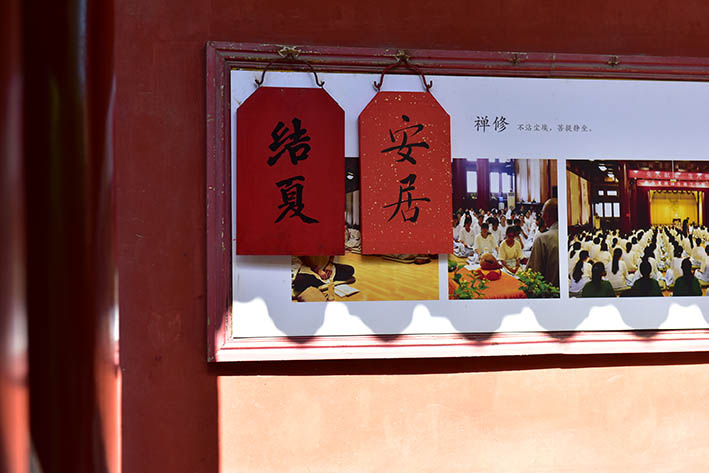 1558320244105556.jpg DSC_6440.JPG