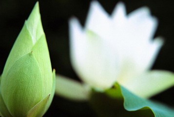 顺丰快递老总王卫：佛教让我找到了精神寄托