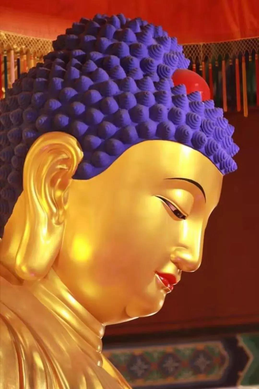 恭迎释迦牟尼佛出家日!祈愿佛日增辉,众生离苦得乐! 恭迎释迦牟尼佛出家日!祈愿佛日增辉,众生离苦得乐!