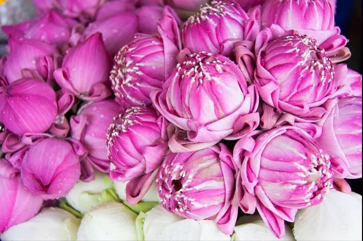 佛弟子应如何孝养父母? 佛弟子应如何孝养父母?