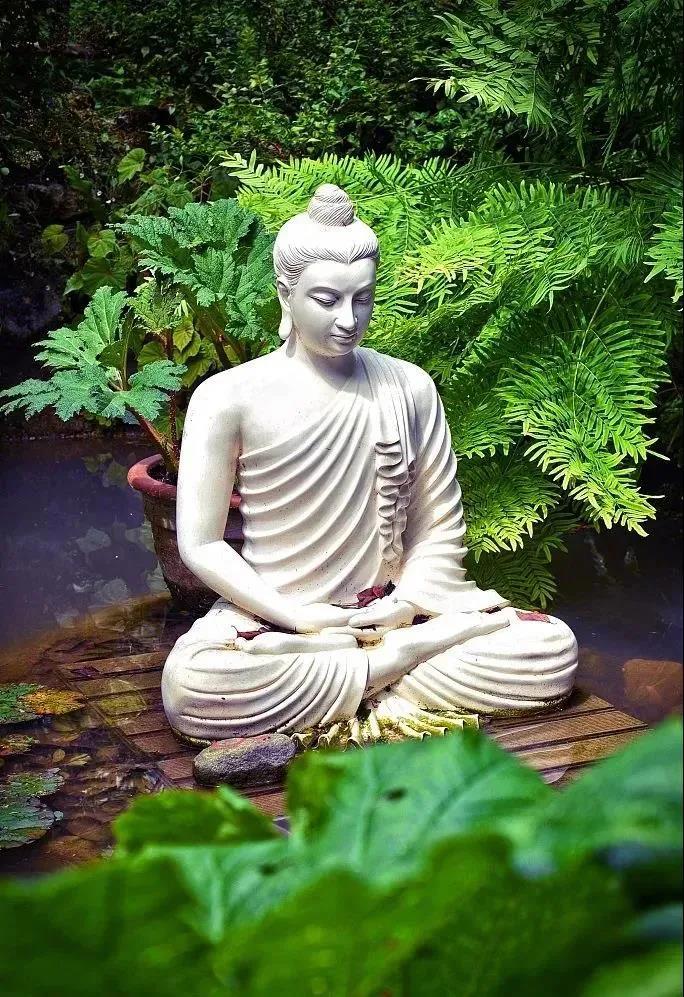 恭迎释迦牟尼佛出家日!祈愿正法久住世间,众生早证佛果! 恭迎释迦牟尼佛出家日!祈愿正法久住世间,众生早证佛果!