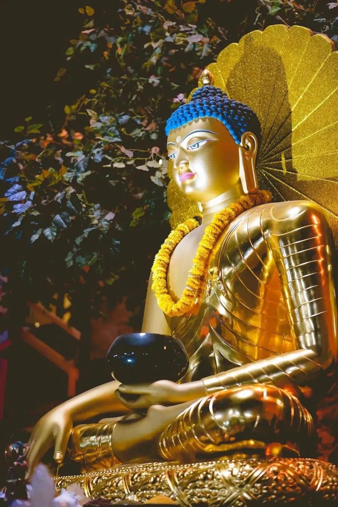 恭迎释迦牟尼佛出家日!祈愿正法久住世间,众生早证佛果! 恭迎释迦牟尼佛出家日!祈愿正法久住世间,众生早证佛果!