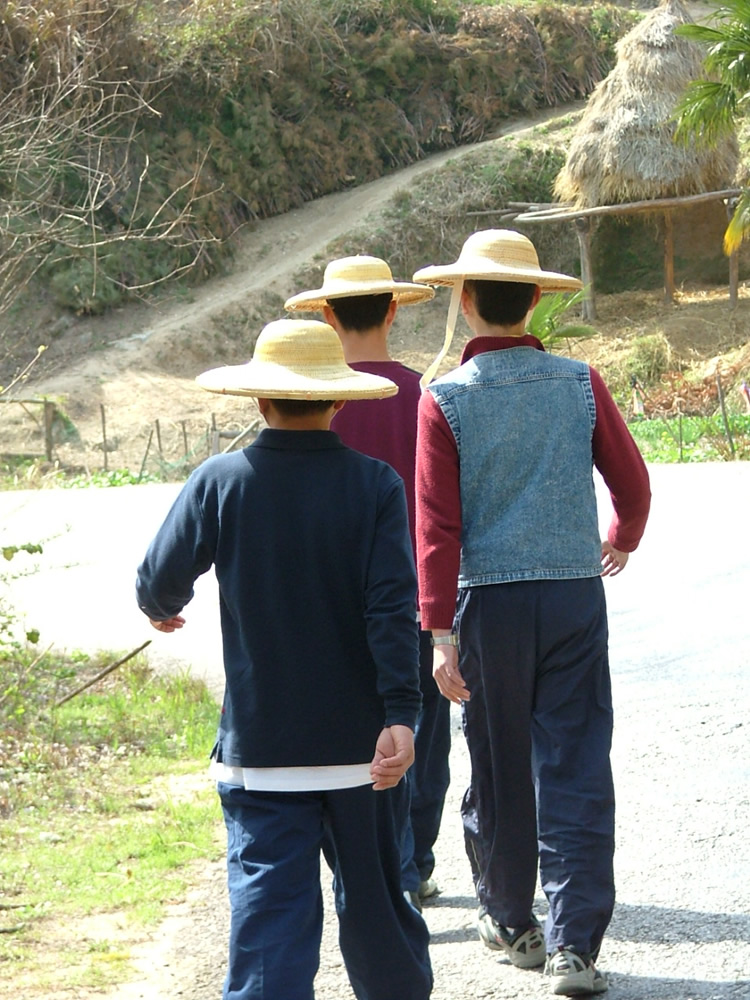 三顶斗笠，惠烨也在其中