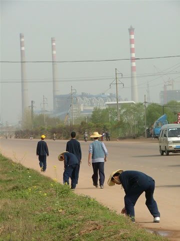 顾、宋师兄在捡被飞车撞晕的昆虫