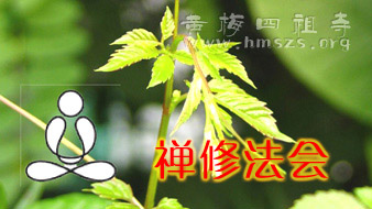 欢迎参加黄梅四祖寺“五一”禅修法会