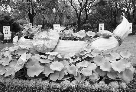 编 号: 319002 　　　
摄影作者: 　　
文件名:tjh06073.jpg　　
文件大小:72K　　
高 X 宽:305 X 450　　
说明:tjh06073.jpg