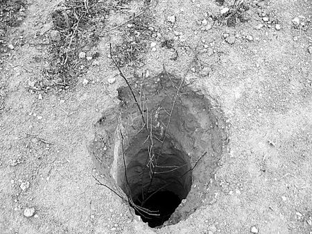 洛阳龙门石窟东山文物集中地惊现大量盗墓洞(图)