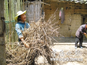 36岁农民今日参加高考曾为供弟弟读书而弃学