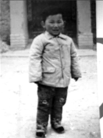 华裔养子越洋寻亲的曲折路径