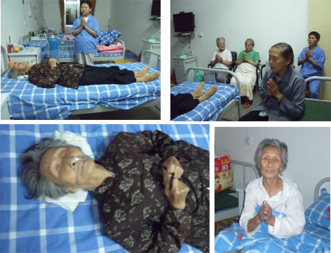 在东林僧团的领导下,在阿弥陀佛慈哀加被下,会有一个更加灿烂的明天!