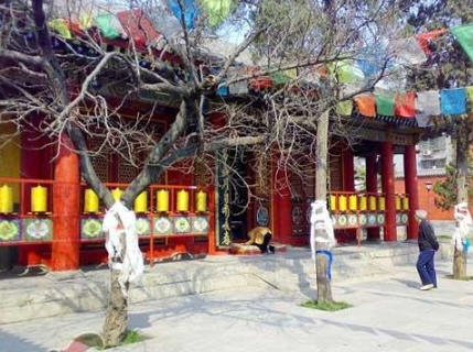 按此在新窗口浏览图片