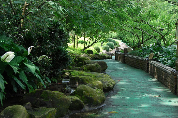 按此在新窗口浏览图片