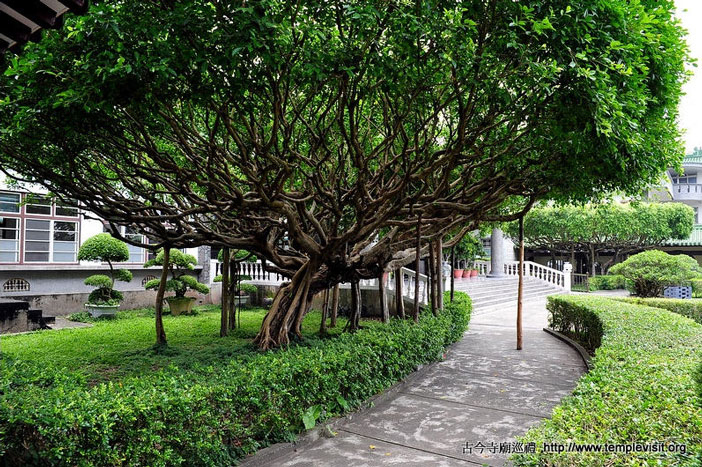 按此在新窗口浏览图片