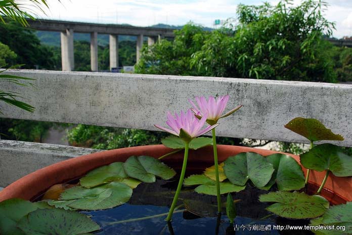 按此在新窗口浏览图片