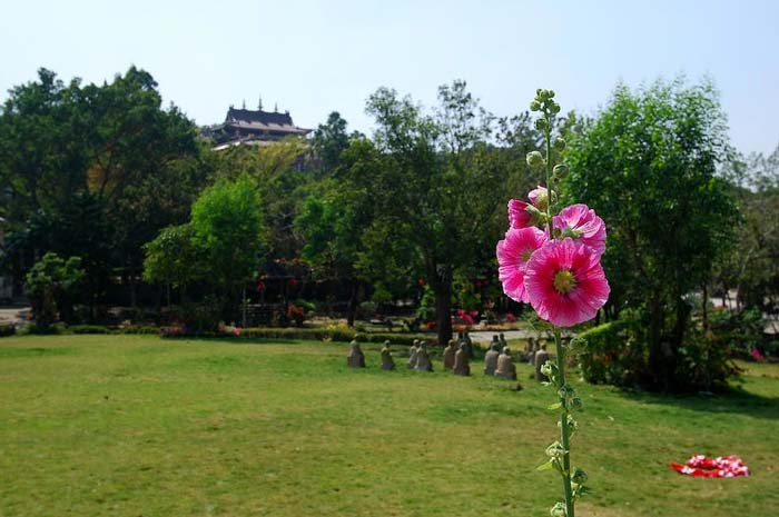 按此在新窗口浏览图片