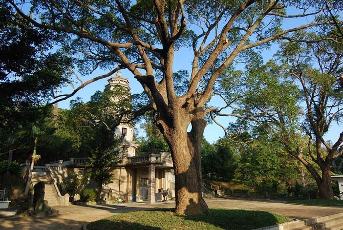 按此在新窗口浏览图片