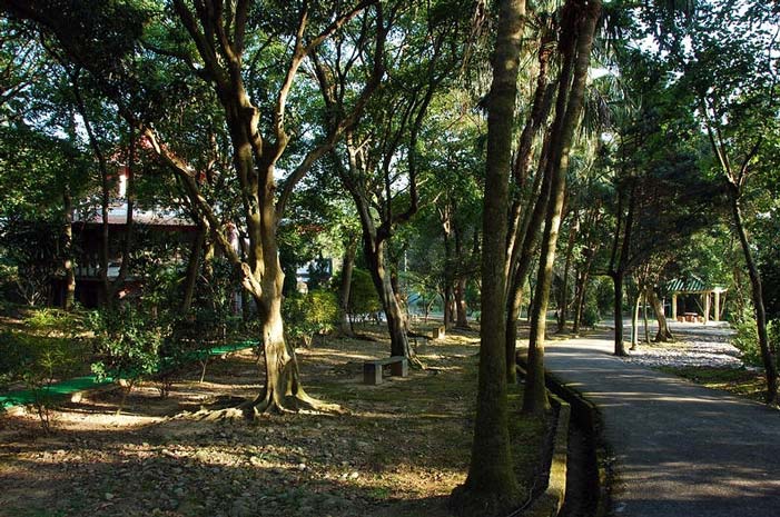 按此在新窗口浏览图片