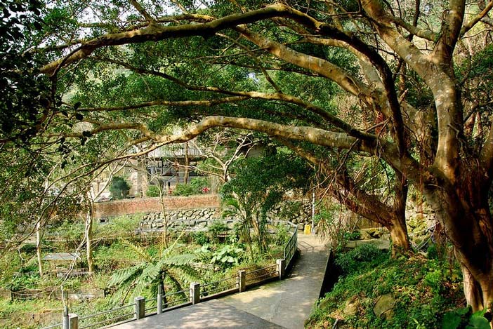 按此在新窗口浏览图片