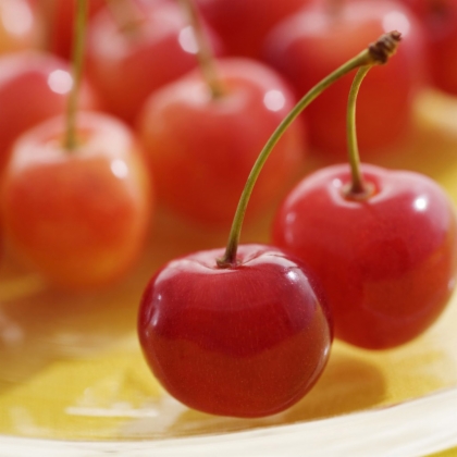诱人樱桃 诱人樱桃