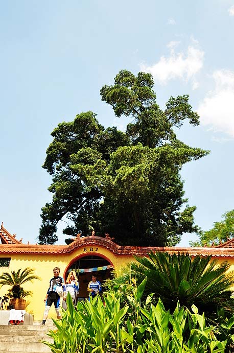 按此在新窗口浏览图片