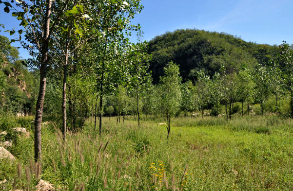 按此在新窗口浏览图片