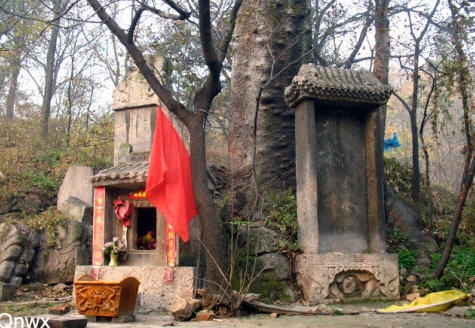 按此在新窗口浏览图片