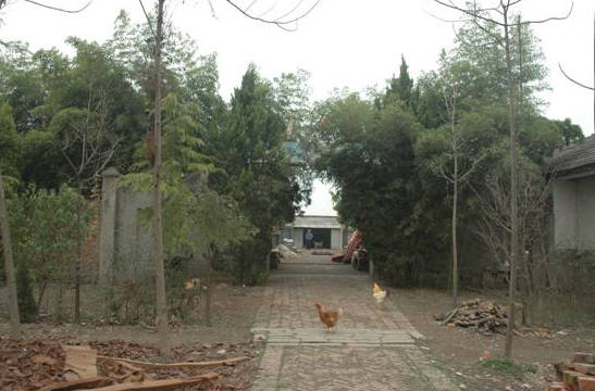 按此在新窗口浏览图片